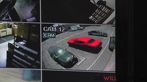 SheWillCheat - Nina Hartley Mature Executive Meets A Ha