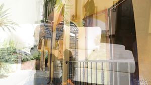 TrickySpa - Distracting Daddy - Derrick Pierce Mirand