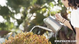 scarlet domingo maid anal