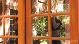 Threeway Lesbian Play