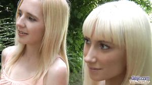 fucking old wood in the forest