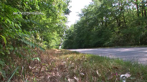 MegaPussyLips - Bianca