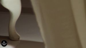 Spinchix - Brook Little - Salacious Secrets