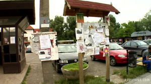 AssTitans - Alma Black 30 Year Old Virgin