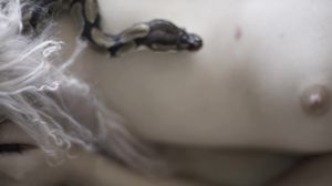 Afourchamberedheart - Amarna - Yhivi - Kira - Vex - Th