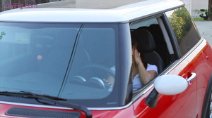 LilyFig - minicooper