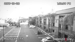 TOUGHLOVE X - JULZ GOTTI IN 4K