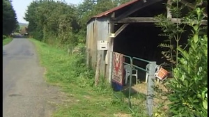 Les Castings No Limit De Pierre Moro 2