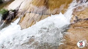 Los Sueños De Miriam Prado