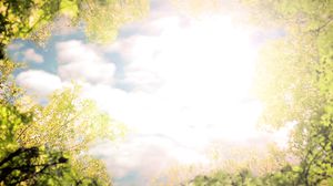 TelevisionX - I'm A Pornstar… Get Me Out Of Here! 2.Bro