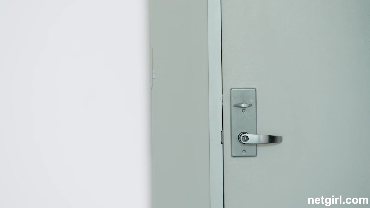 NVGNetwork   Scarlett