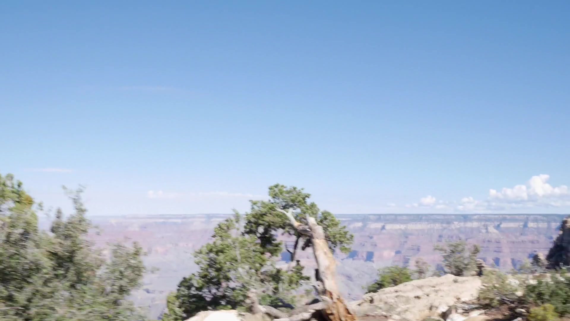 Daisy Stone - Grand Canyon blowjob