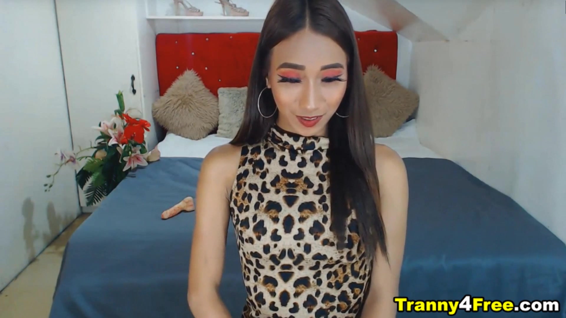 Skinny Asian Shemale Awesome Camshow
