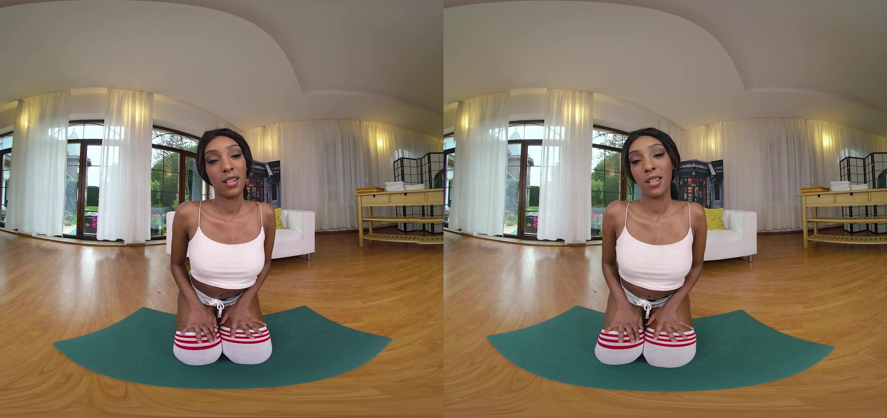 Yoga Sex VR