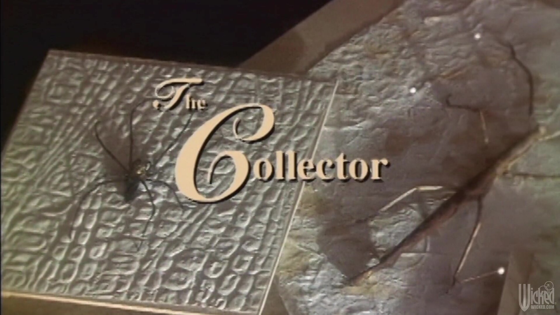 The collector scene 1 - Jessica Drake