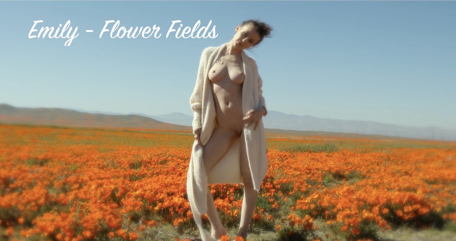 Emily - Flower Fields