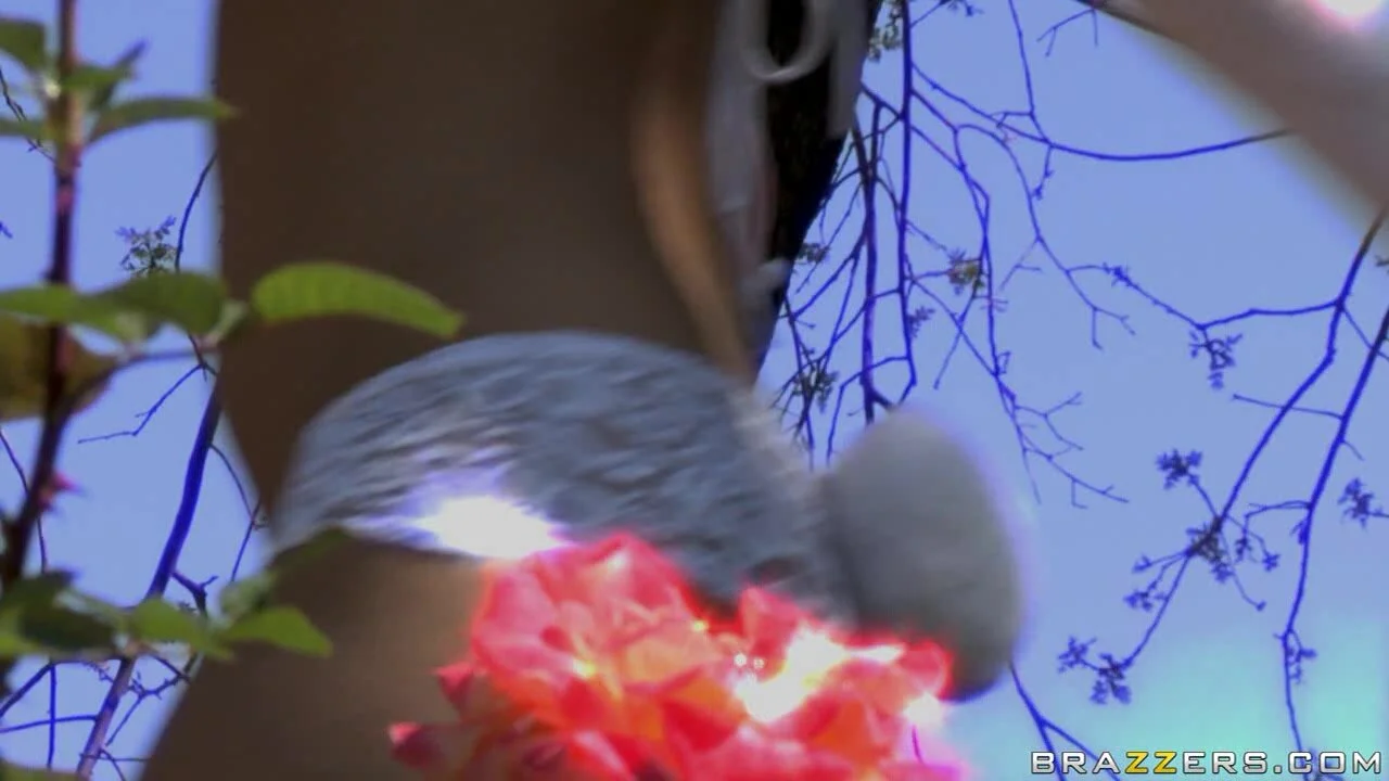 Angel Dark - East of Easter | Porntrex.com best HD a...