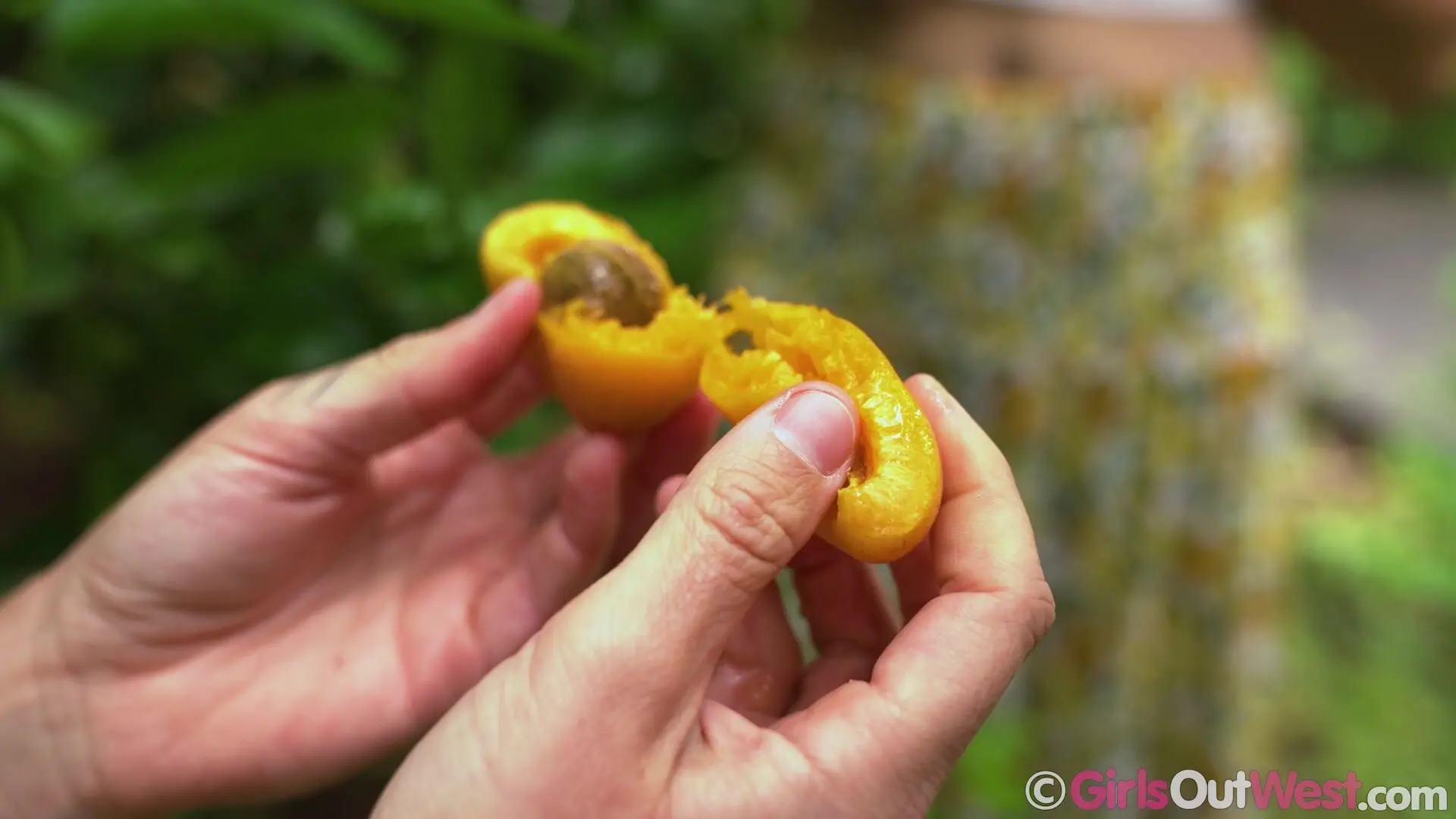 Max Peach And Pixie Play - Forbidden Fruit