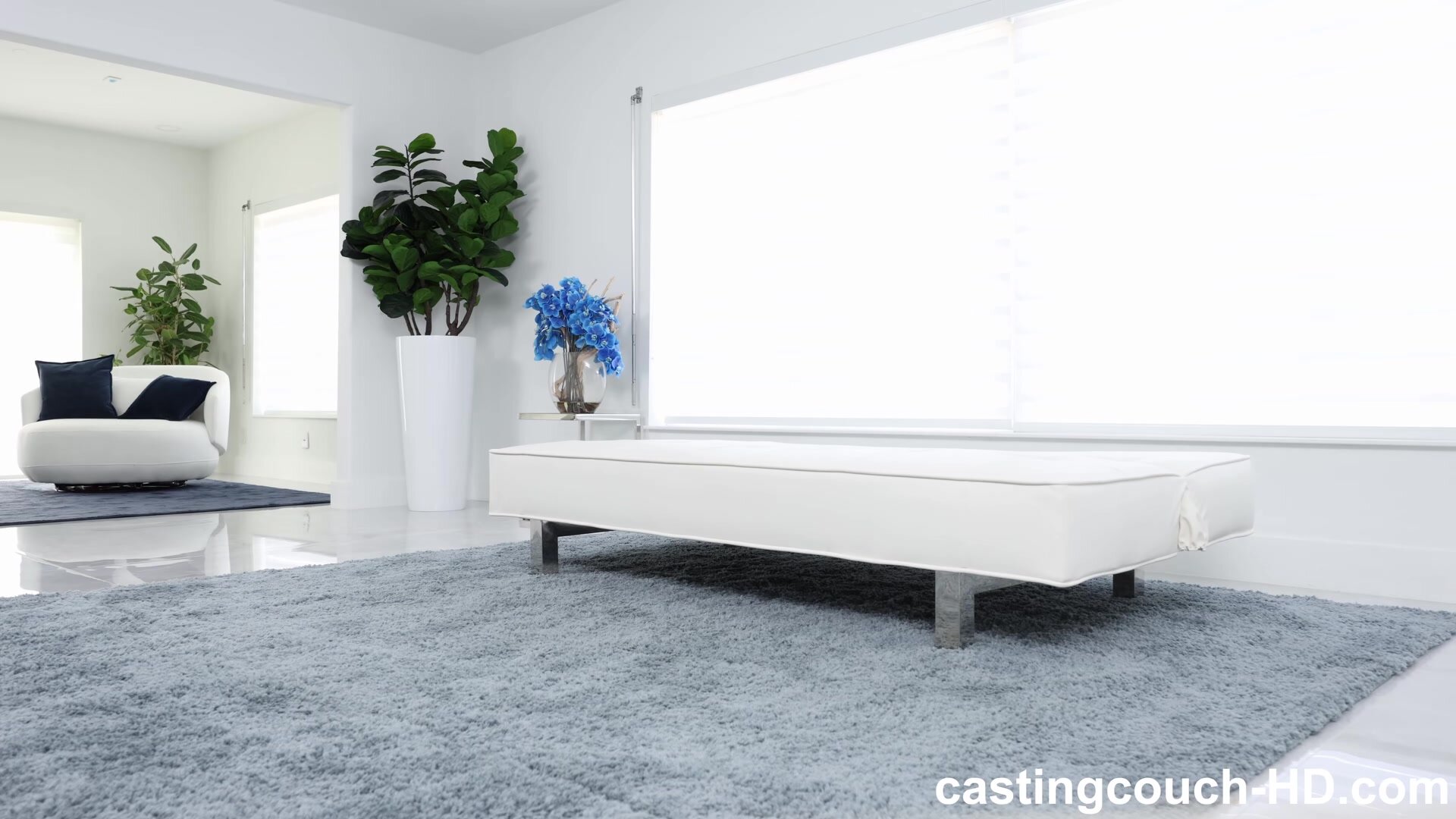 CastingCouch-HD - Rose