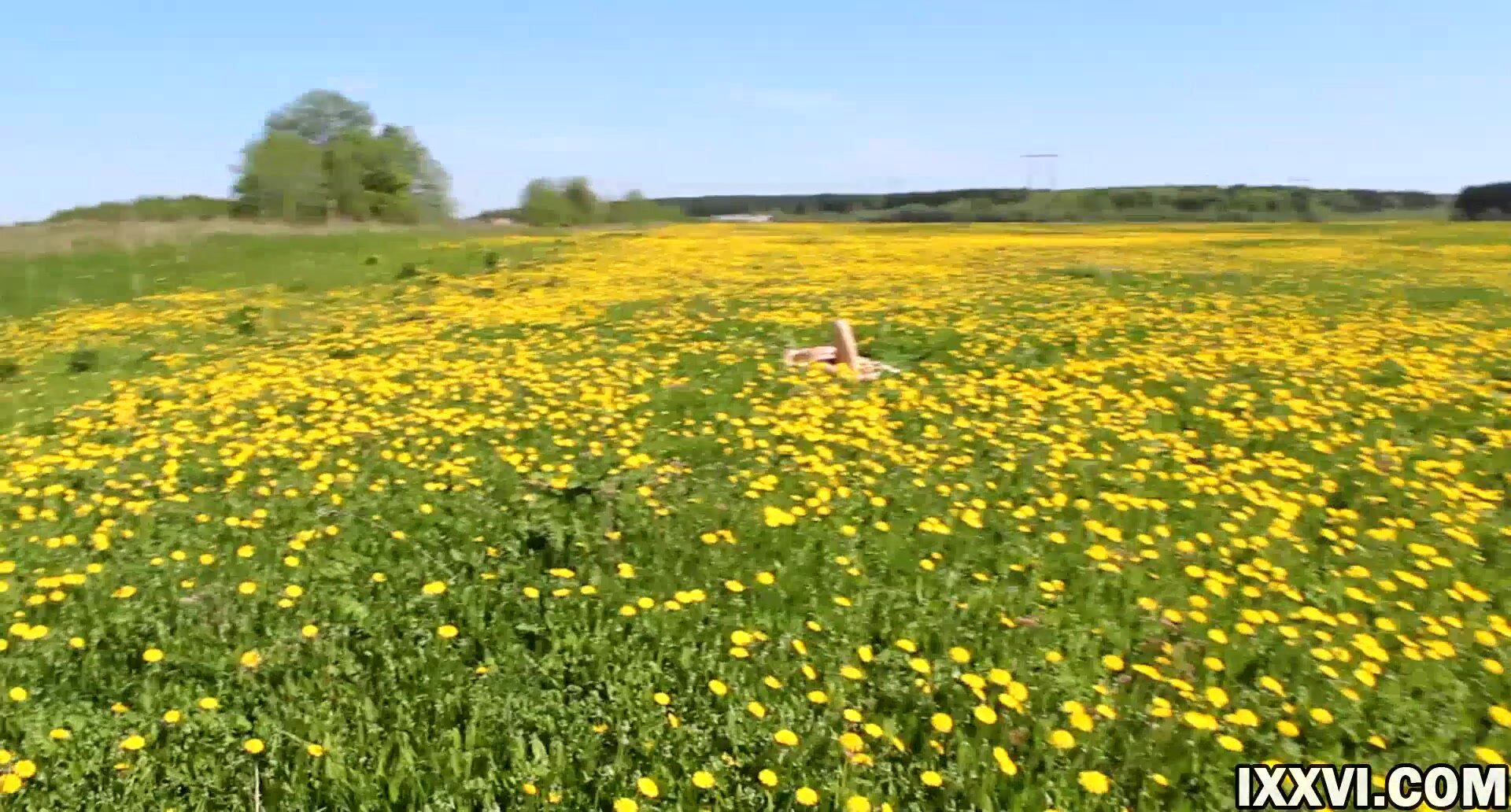 Vira Gold - Casual Blowjob from a Stranger Girl in the flower field