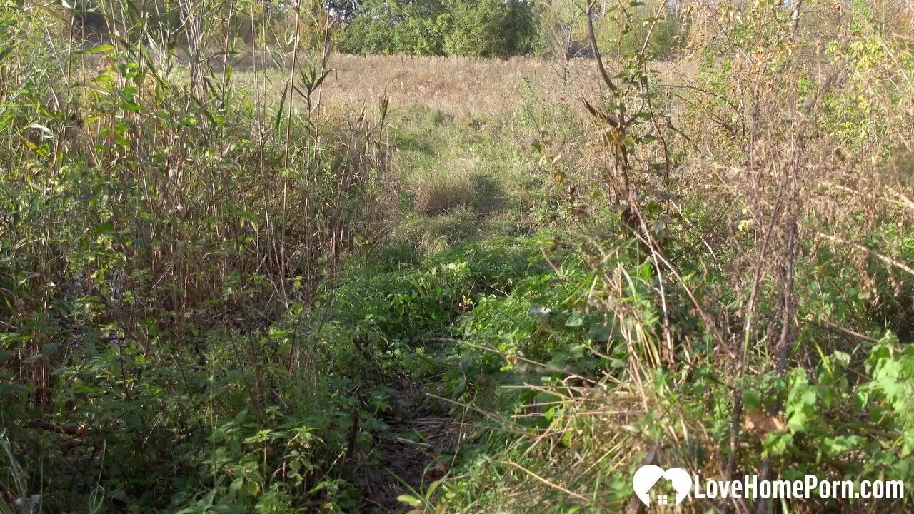 Sucking my boner in a nice field