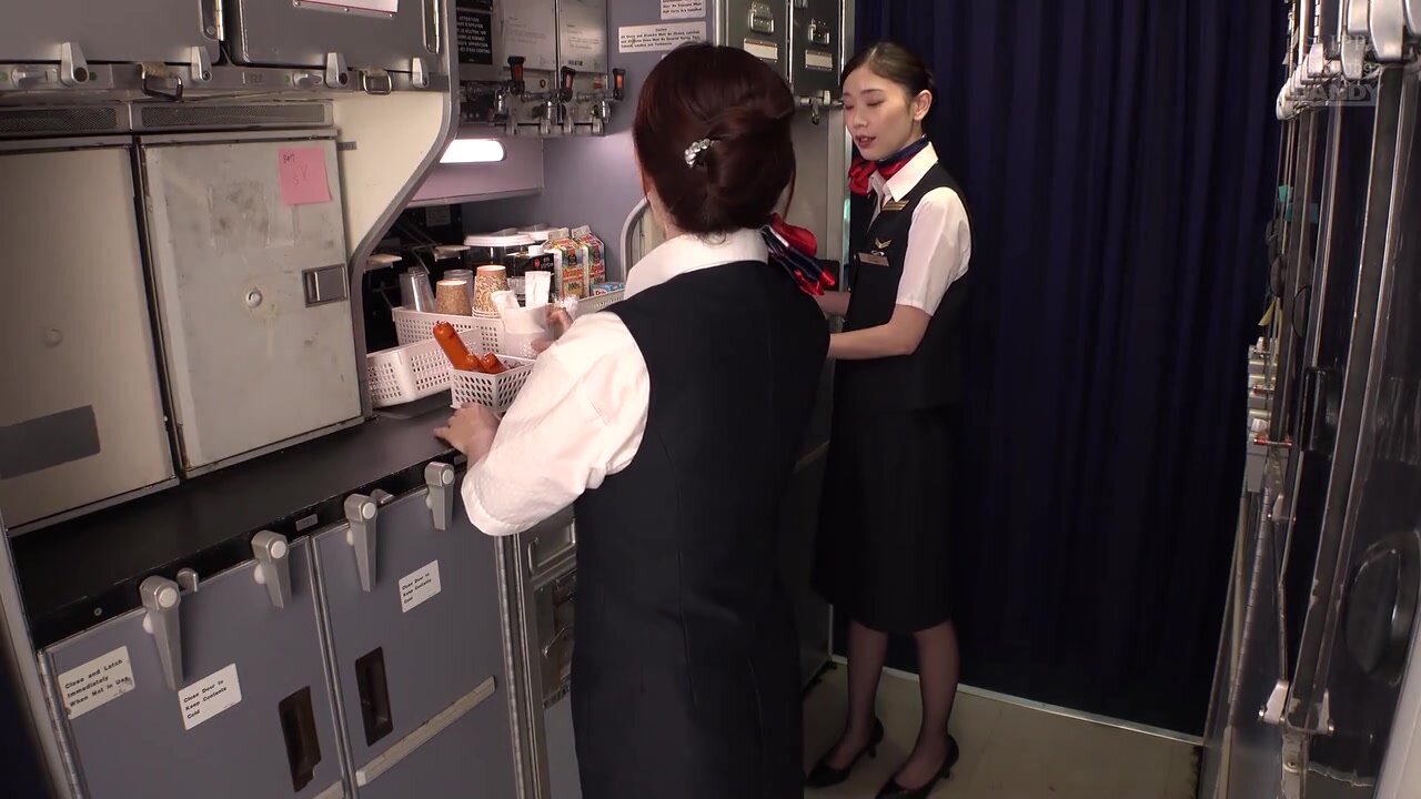 DANDY-941 “Can I See The Pictures I Took In Secret?” The Middle-aged Flight Attendant Blushes When She Pretends To Be Mistaken And Shows Me A Picture Of A Penis. She Doesn’t Mind Seeing An Erect Penis In Front Of Her. VOL.2