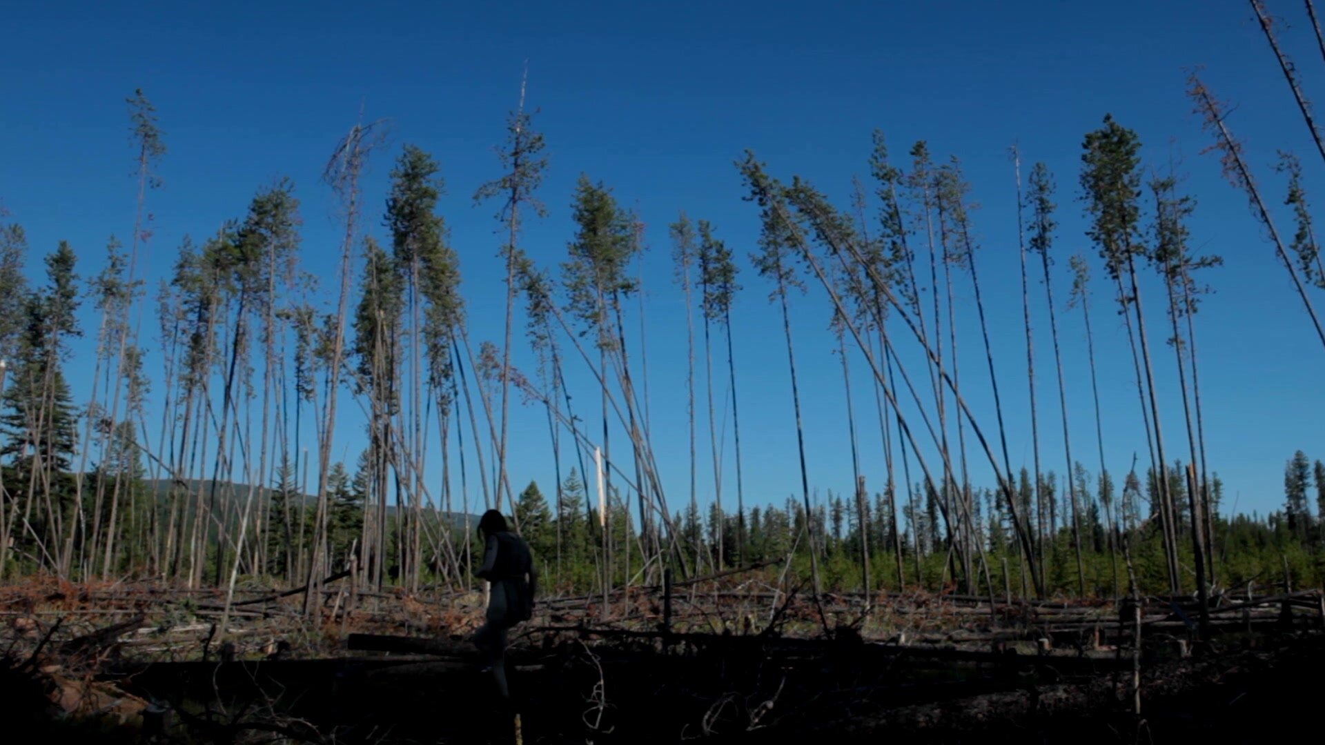 Bree Daniels - BareMaidens - Dying Forest