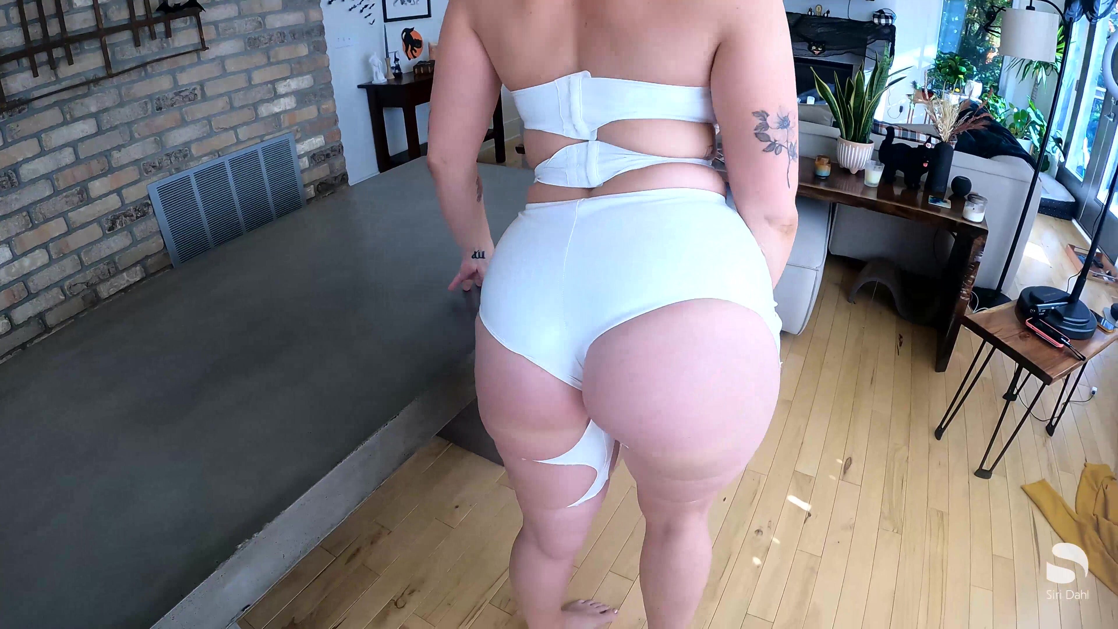 MV Siri Dahl POV Anal **