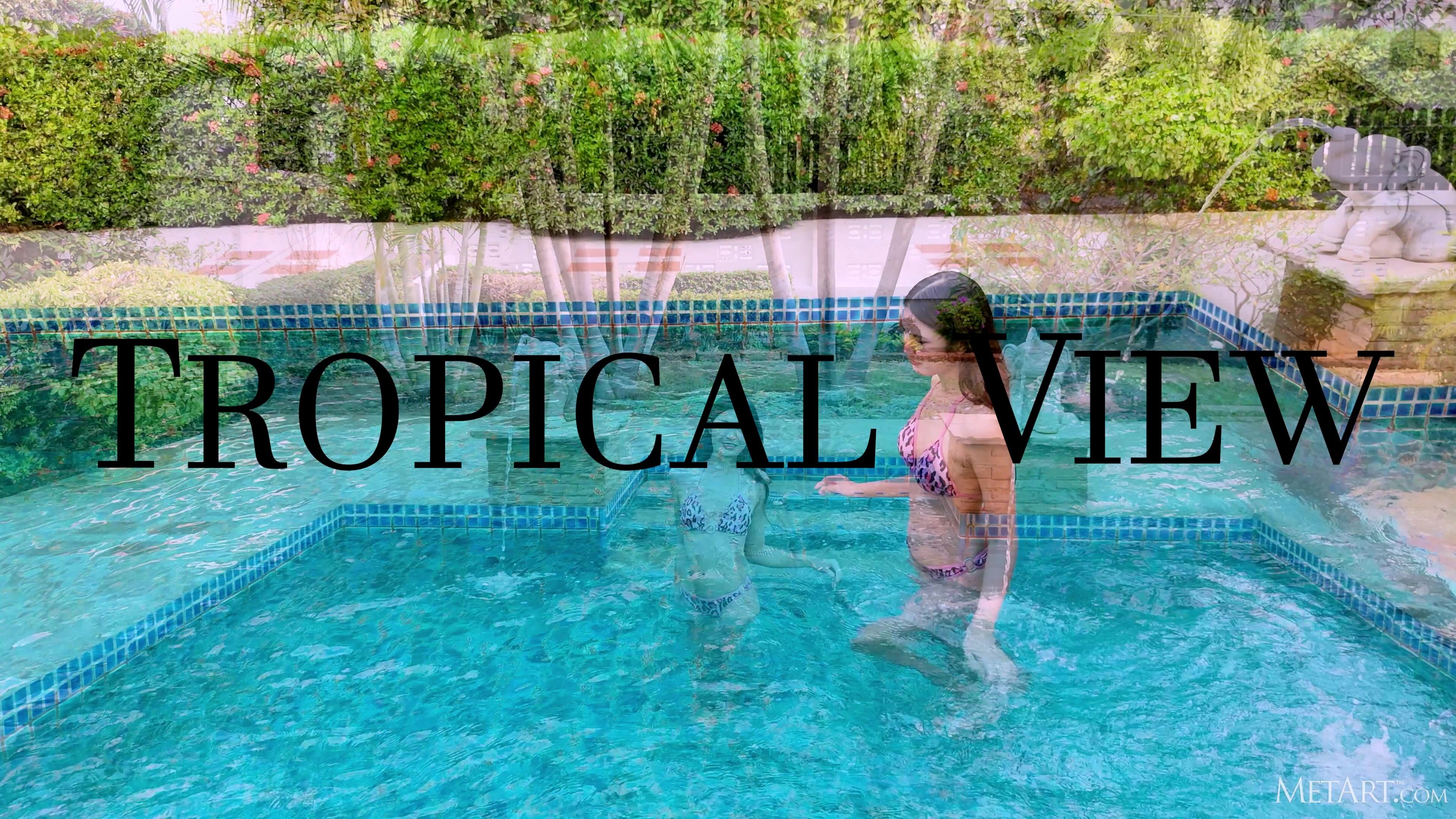 Tan - Tropical View in 4K