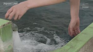 IPX-268 Wet And See-Thru Raw Titty Nip Slips The Hot Body-Washing Girl At The No-Panties No-Bra Bathhouse Will Provide Hot Hospitality Sex Kana Momonogi