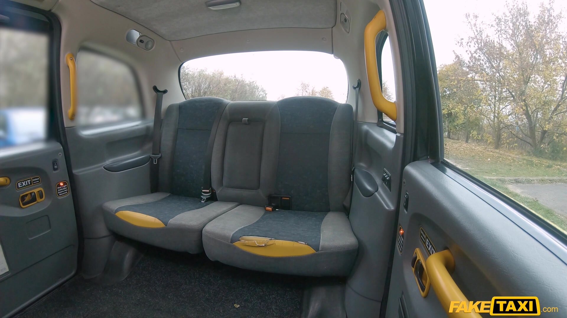 FakeTaxi - Ashley Morena