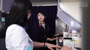 DANDY-982 I invited the beautiful flight attendant who secretly served me to a hotel and had sex with her raw, and she turned out to be a slut who kept asking for more VOL.5