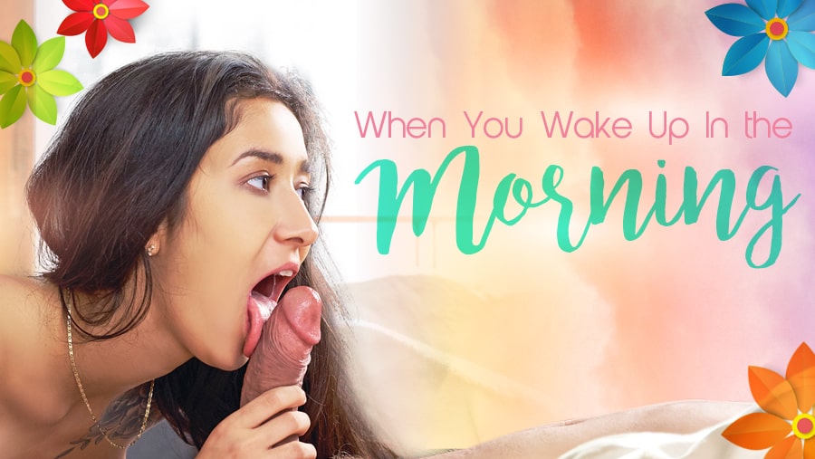 Darce Lee - When You Wake Up In The Morning in 4K