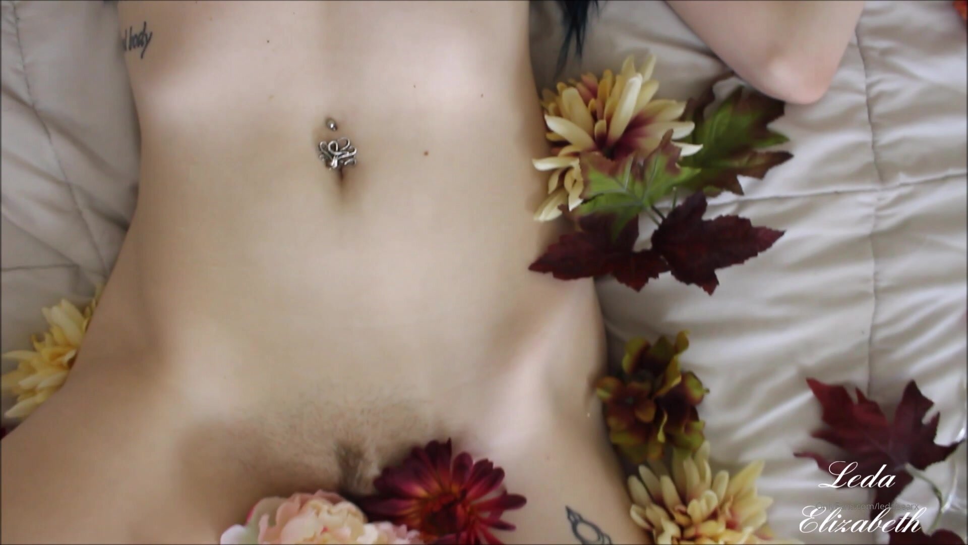 Leda Bear - PornHub #11