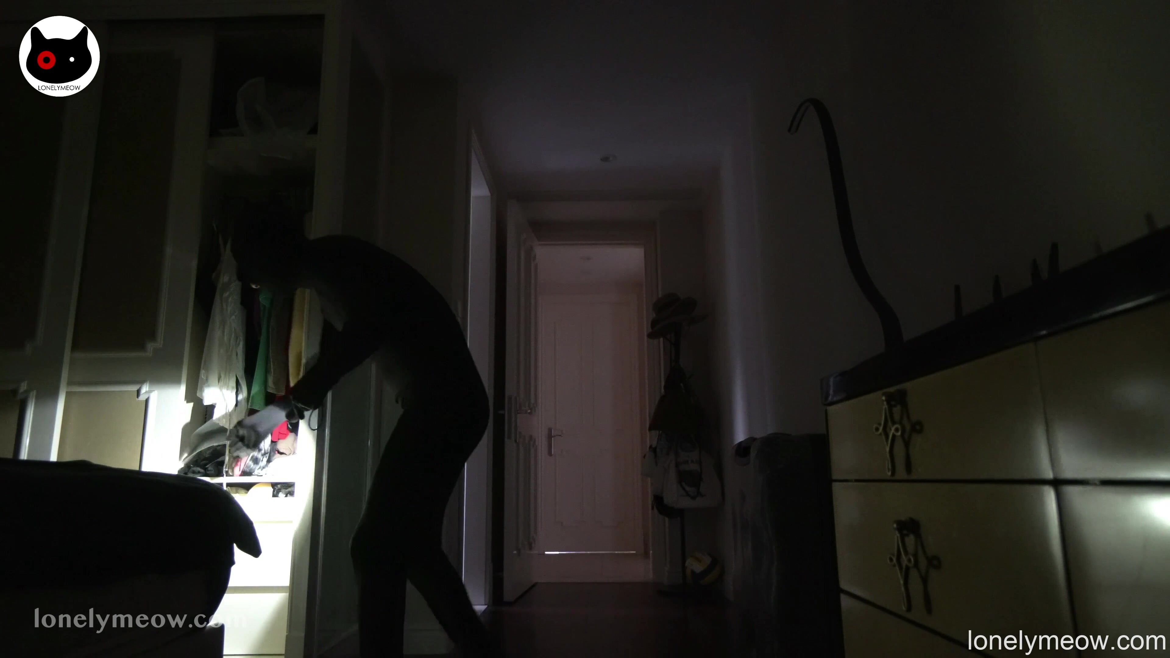 LonelyMeow - Underwear