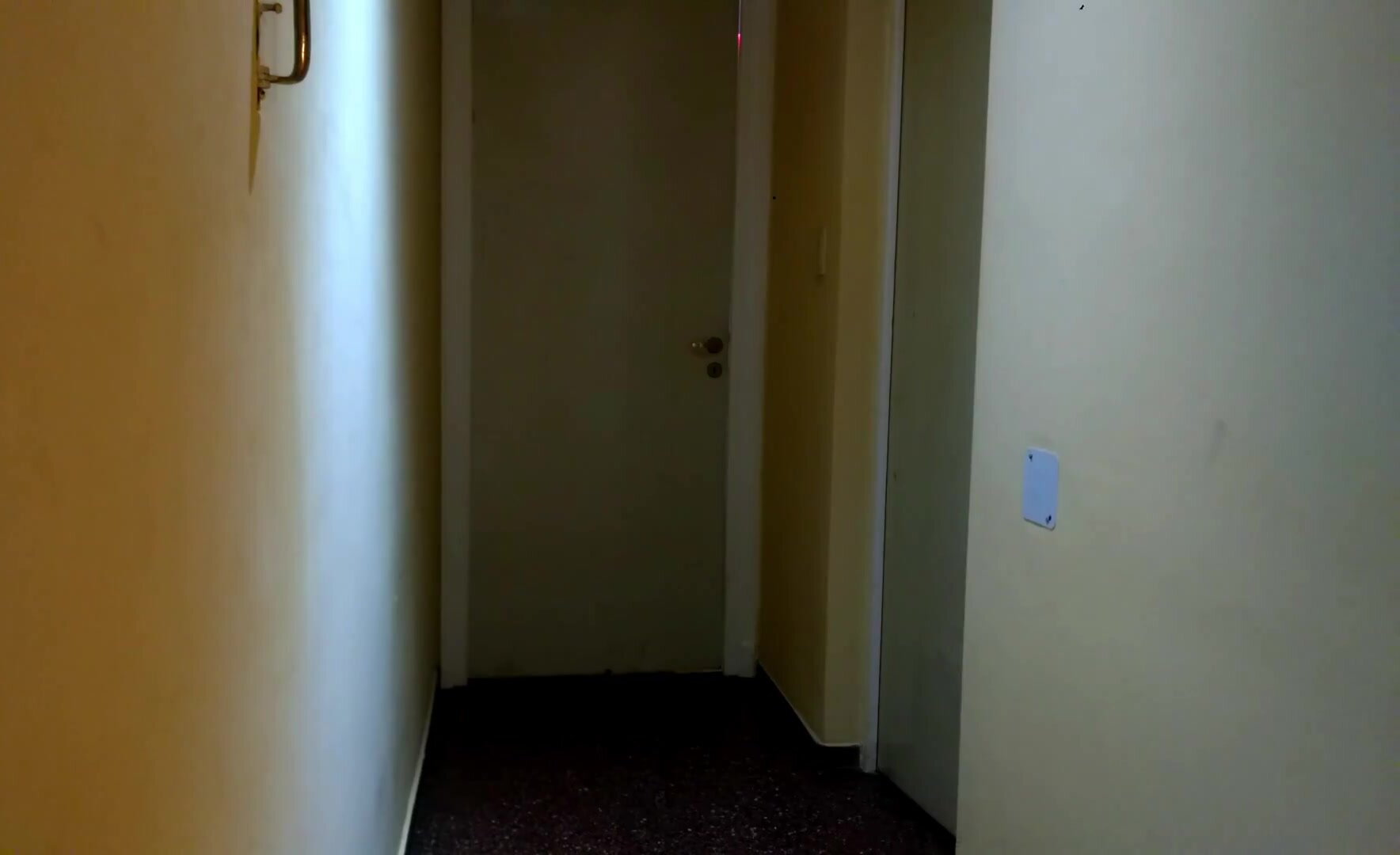 Latin Queen - PornHub #03