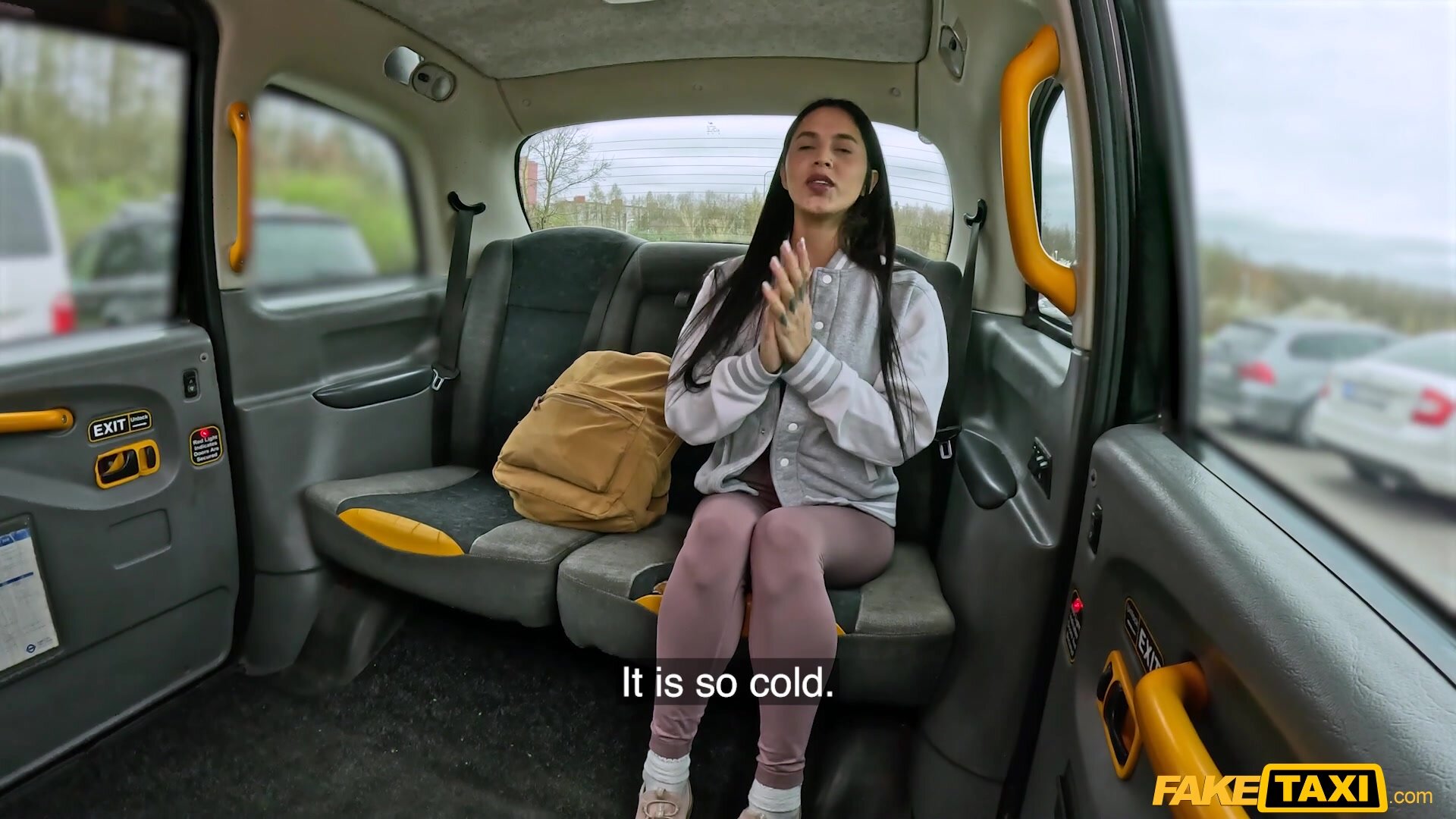 FakeTaxi - Helen Star