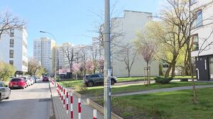 XES - Paola Blaze And Nikita BTS