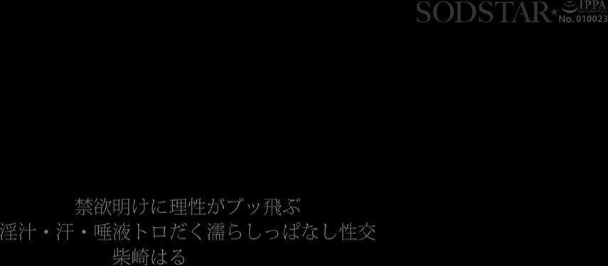 START-340 The most sensitive girl in the best state of melting pussy loses her sense of reason after abstinence. Sex with her dripping with lust, sweat and saliva. Haru Shibasaki