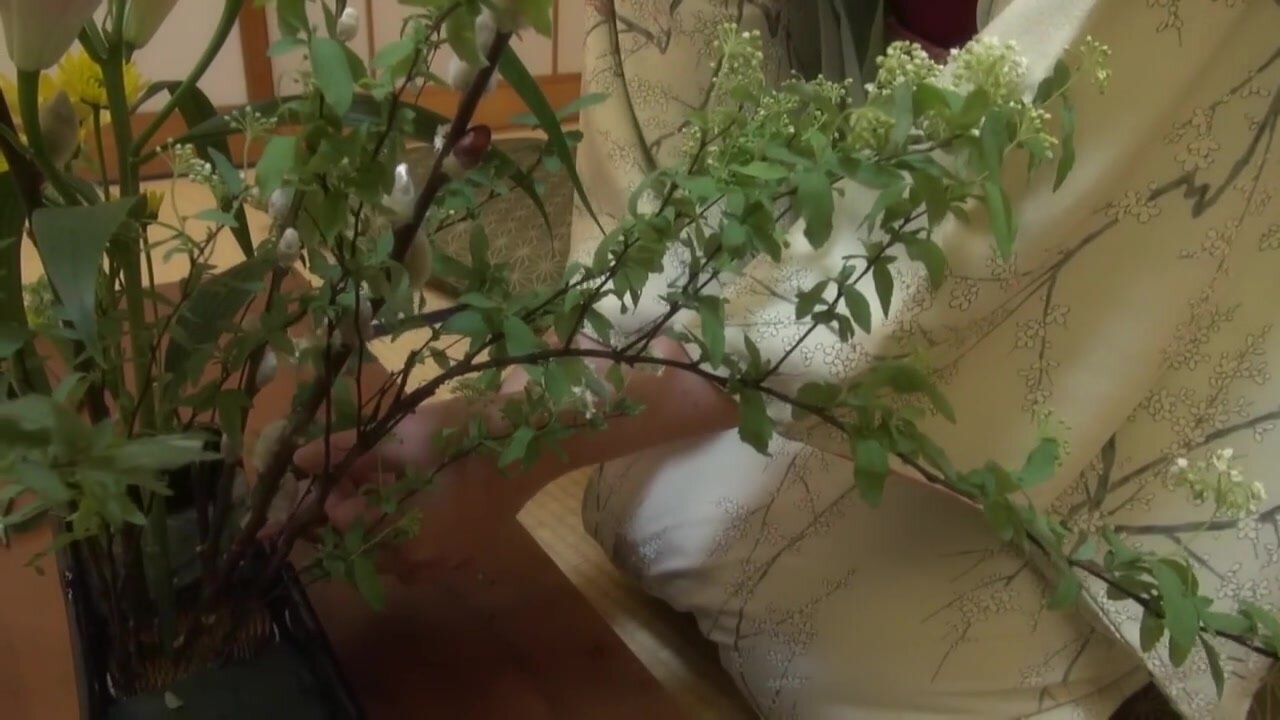 VSED-264 Secret Affairs at the Flower Arrangement Class