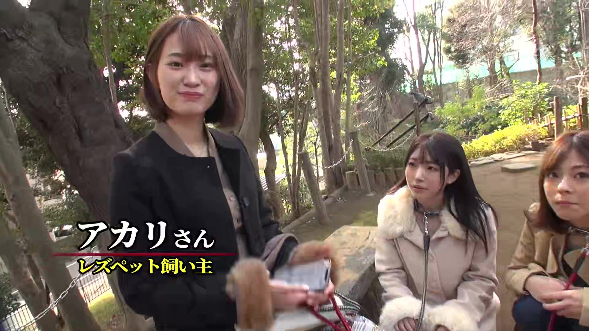 DASS-012 Would you like to be kept by me? Actual record. Akari Mitani Azusa Misaki Hikaru Minazuki