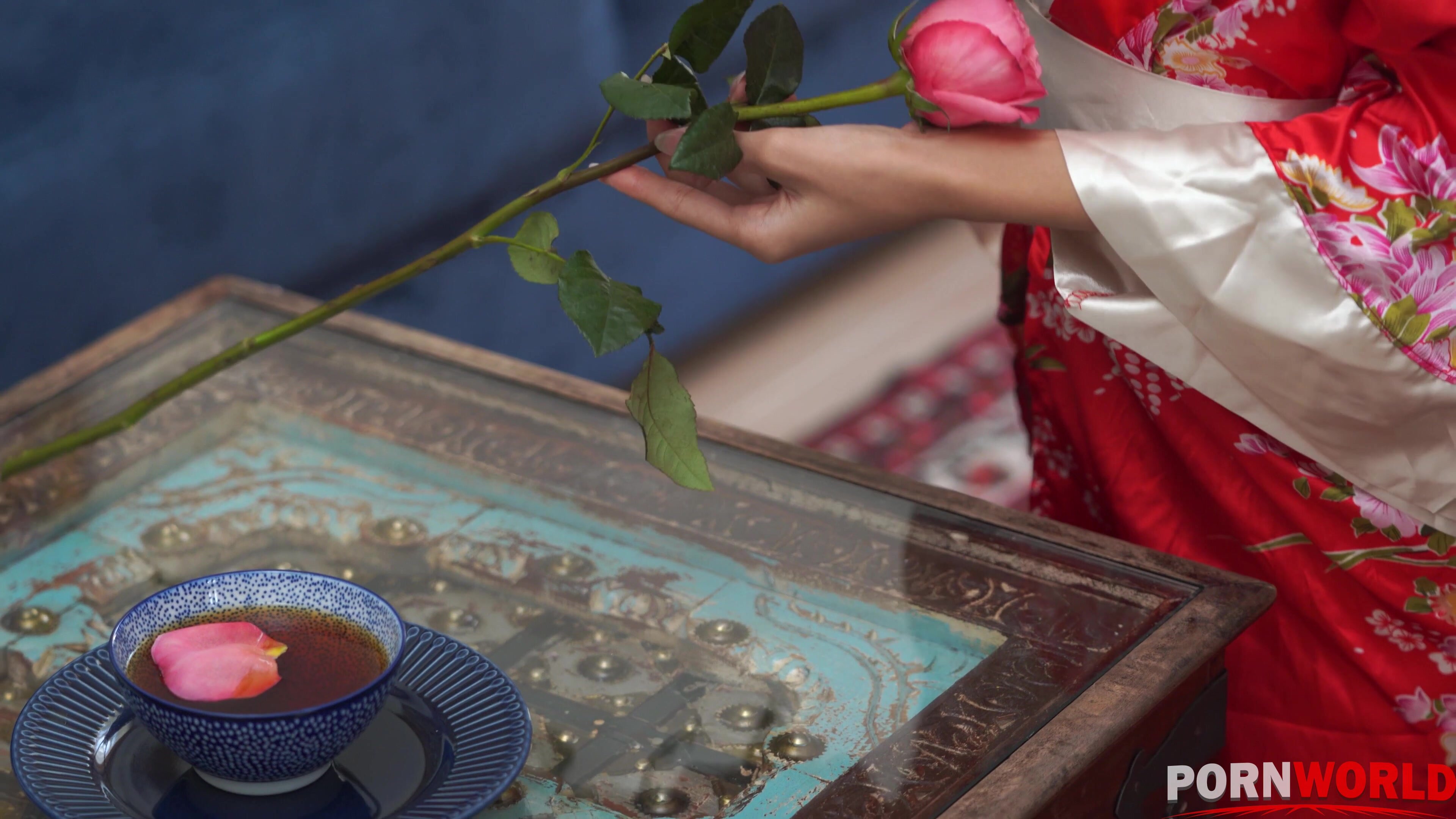 Sexy Lia Lin Facialized After Enjoying an Anal Pounding in 4K