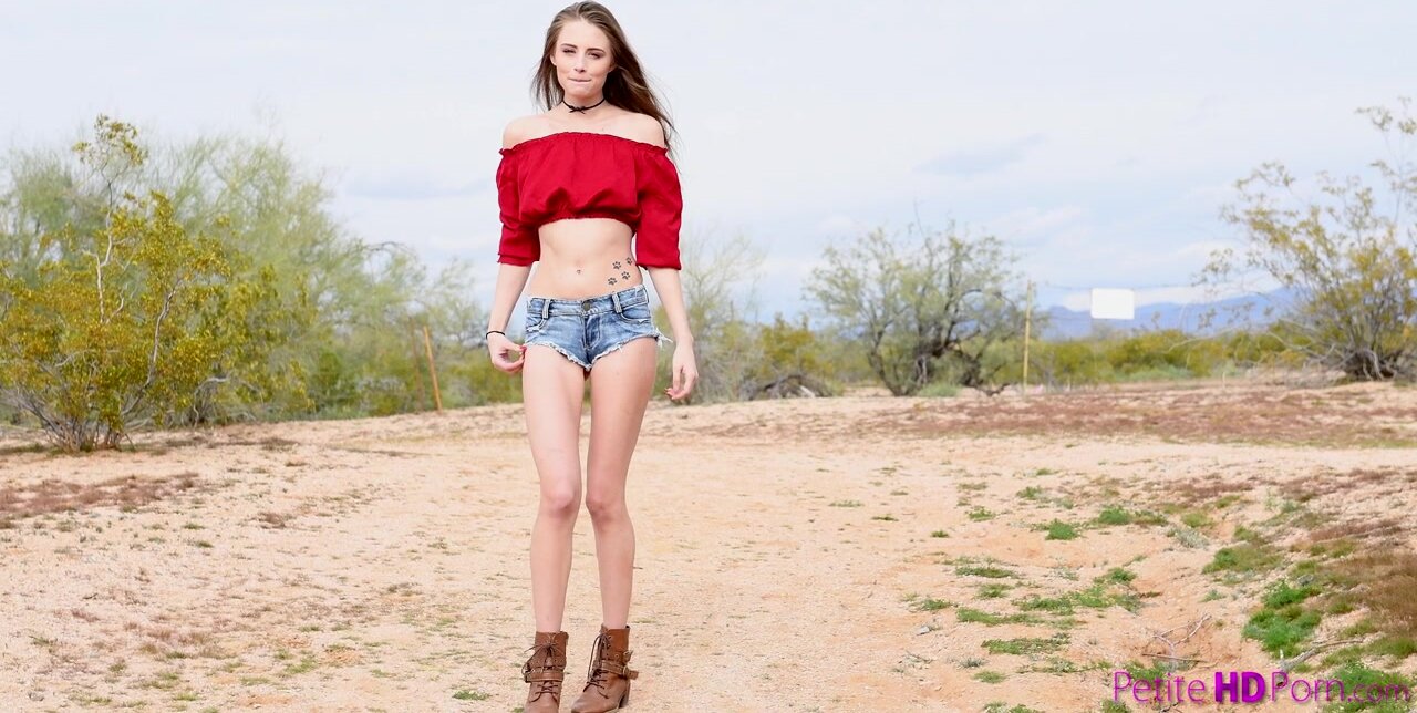 Petite HD Porn - Desert Fox