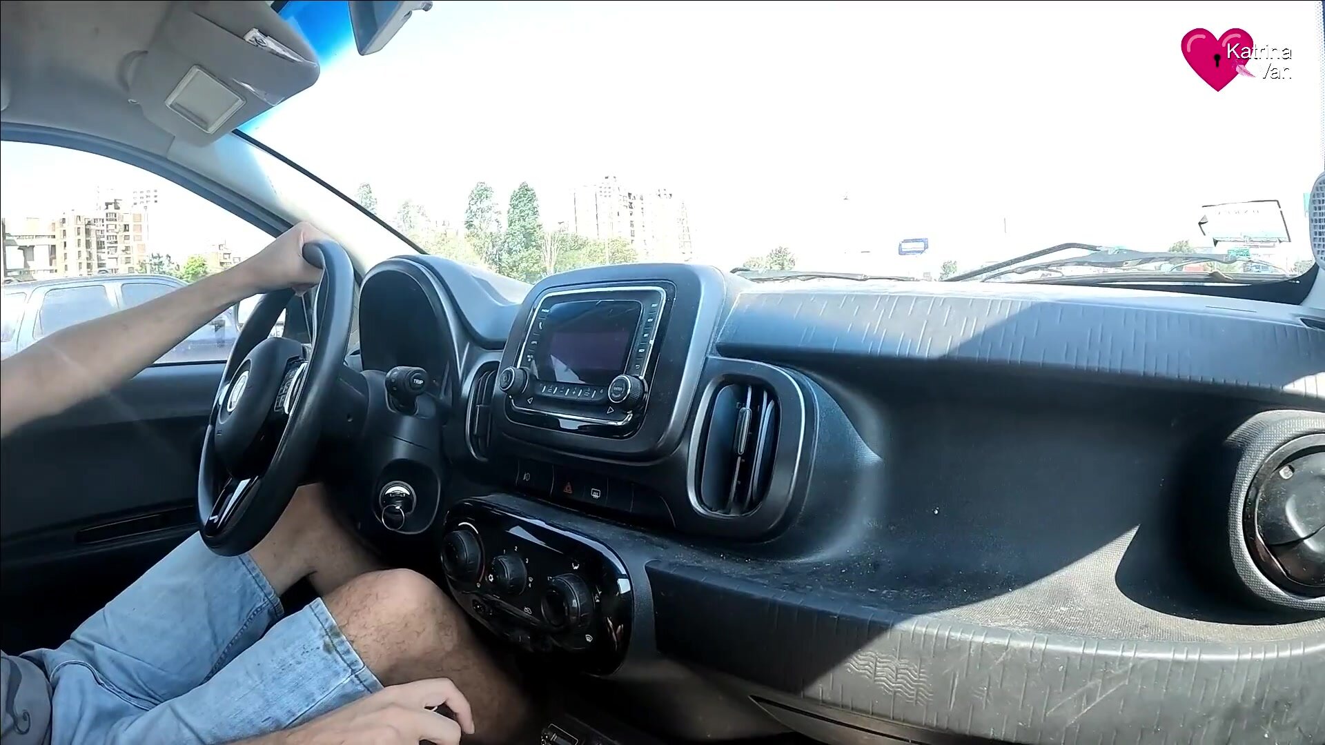 Katrina Van - Hot Situations Happen on the Highway