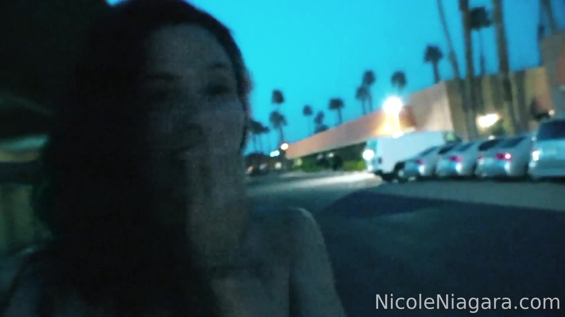 Nicole Niagara - OnlyFans #01