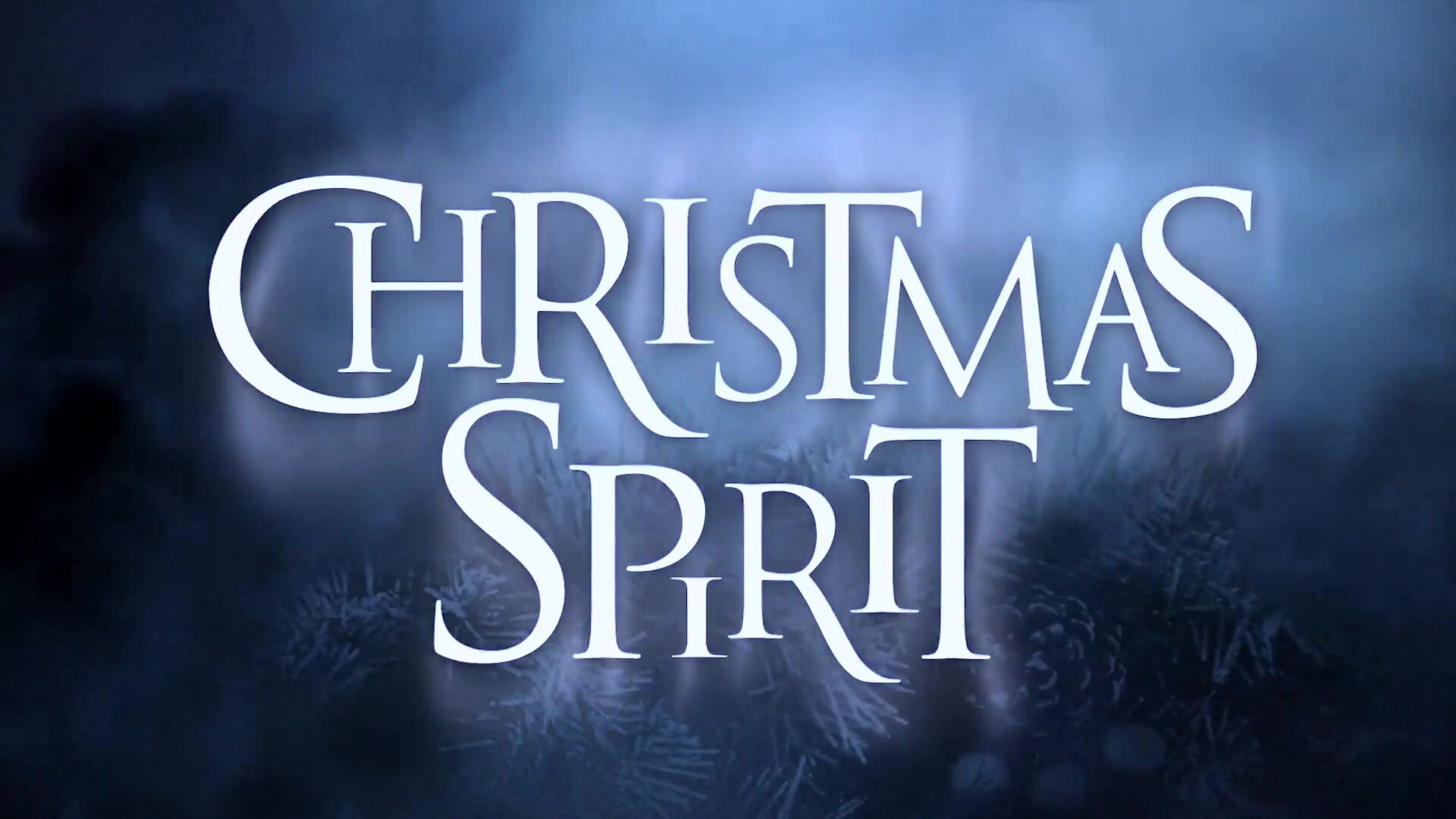 Christmas Wishes & Spirit Came True
