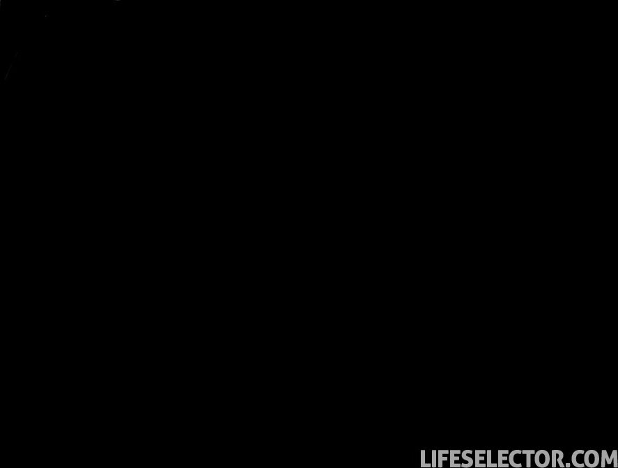 LifeSelector - Lia Lin - The Realtor Always Rings Twice