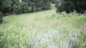 freckledRED - Risky Public Dildo Fuck In A Furry Onsie freckledRED