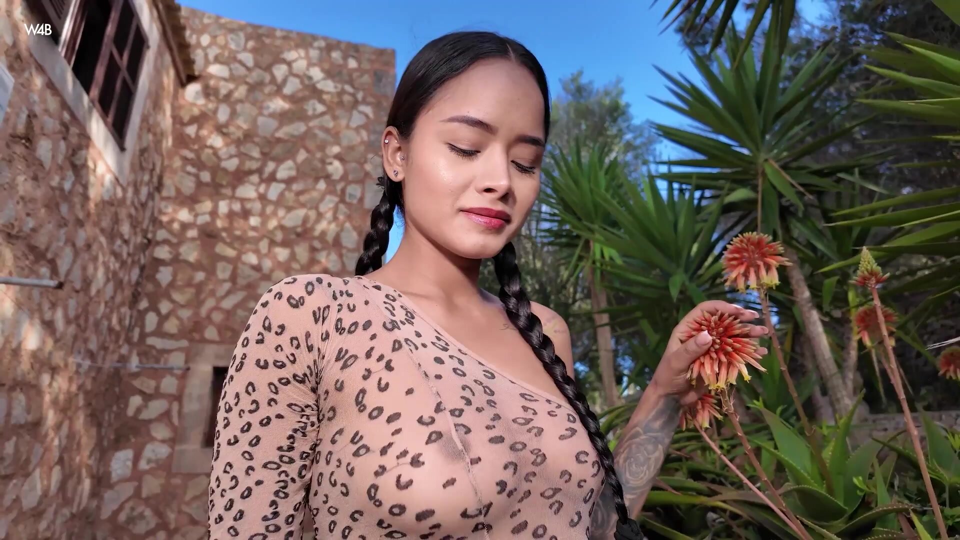 Wb - Liloo Like a Beast