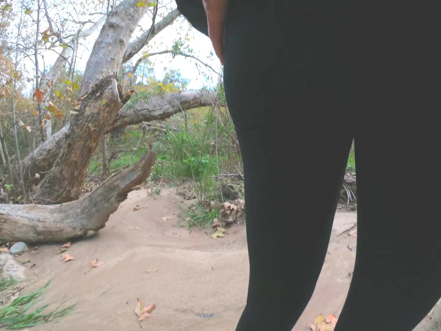 ManyVids - Hiking Frost - Fiona Frost